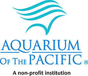Click here to visit Aquarium of the Pacific's website for discounted tickets.